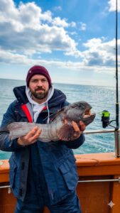 seewolf beim hochseeangeln auf dem gelben riff ab hirtshals dänemark