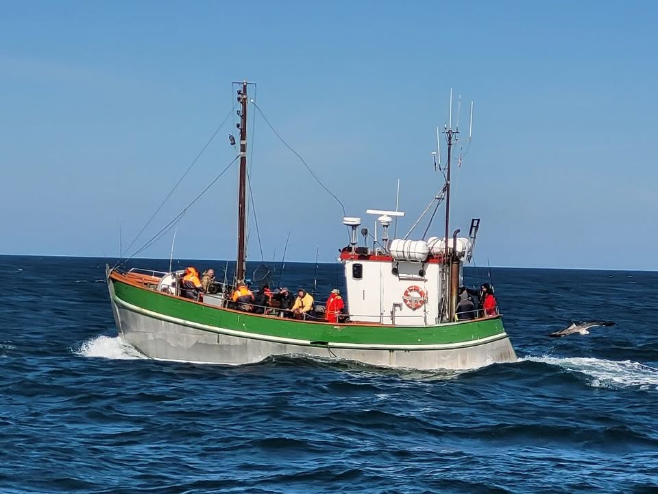 hochseeangeln hirtshals dänemark juventus angelkutter angelschiff helsingor