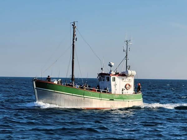 hochseeangeln hirtshals dänemark juventus angelkutter angelschiff helsingor