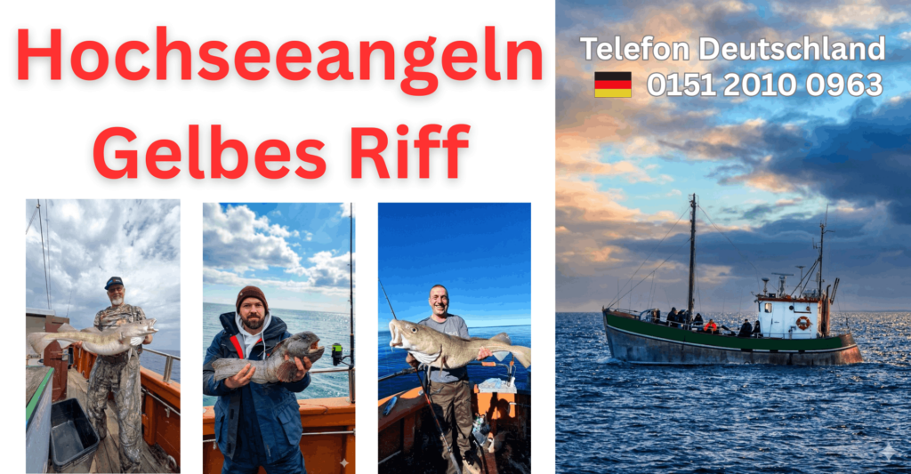 hochseeangeln gelbes riff hirtshals dänemark juventus
